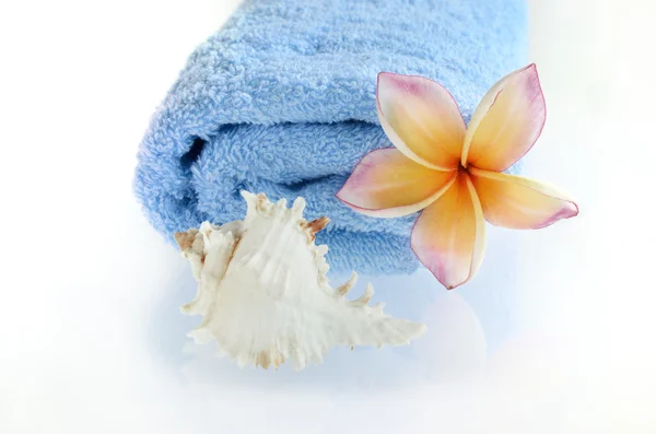 Blauwe handdoek met bloem en zee schelp — Stockfoto