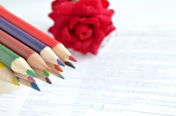 Wooden crayons and rose — Stock Photo, Image