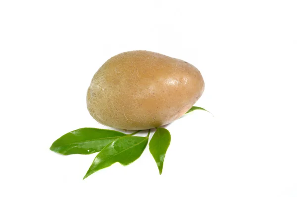 신선한 감자 흰색 절연 — 스톡 사진