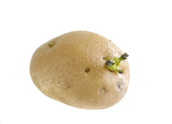 Gro potatis på vit bakgrund — Stockfoto