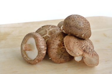 shiitake mantar tahta üzerinde