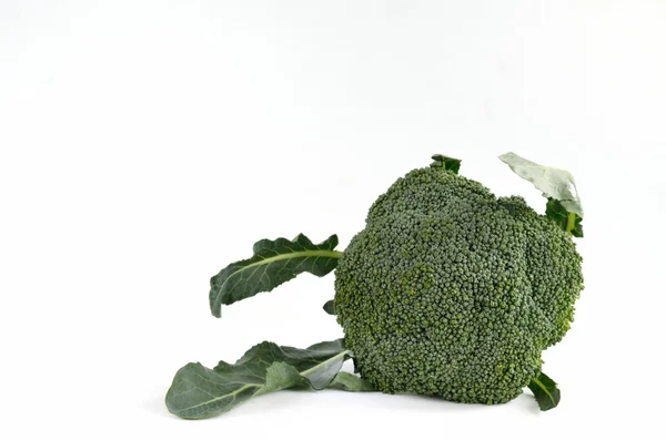 Брокколи овощи изолированы на белом — стоковое фото