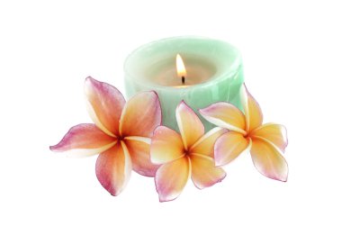 Plumeria çiçek ve mum üzerinde beyaz izole