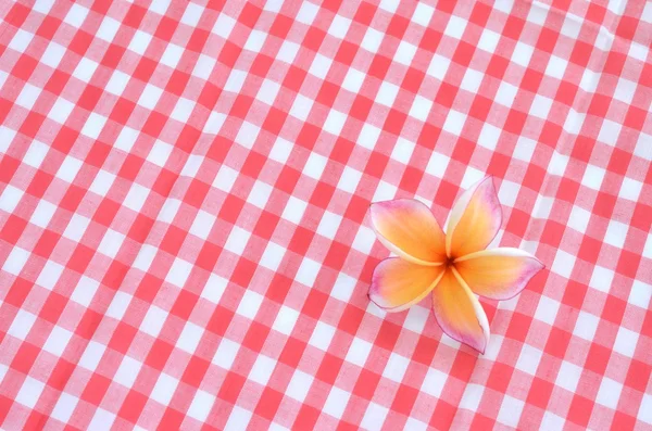 Frangipani bloem op rode geruite doek — Stockfoto