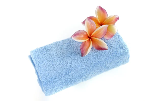 Asciugamano blu e fiori di plumeria isolati su bianco — Foto Stock