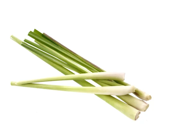 Lemongrass auf weißem Hintergrund — Stockfoto