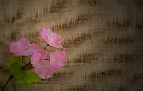 Burlap texture pattern with floral background — Stock Photo, Image