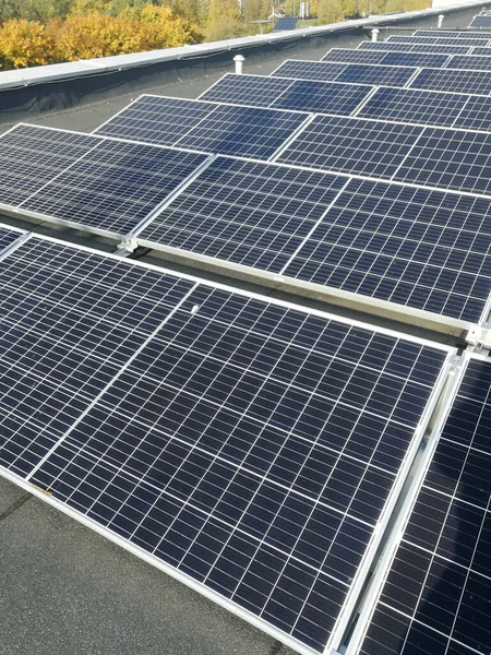 生態系発電のためのダークブルーの太陽電池パネル 再生可能エネルギーの概念 — ストック写真