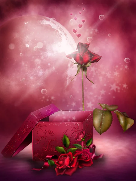 Розовые розы и коробка — стоковое фото