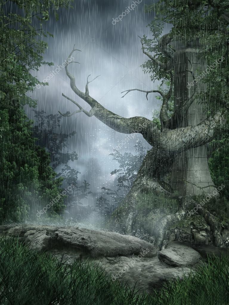 Imágenes: paisajes lluviosos | lluvioso paisaje con un ...