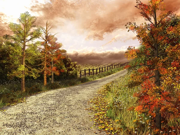 Landweg in kleurrijke bos — Stockfoto