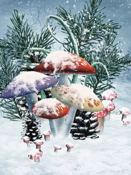 겨울 버섯 — 스톡 사진