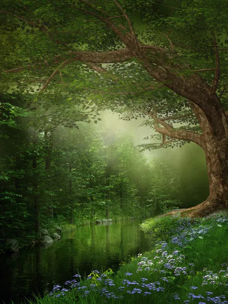 River in a forest — Stock Image River in a forest Royalty Free Stock Images