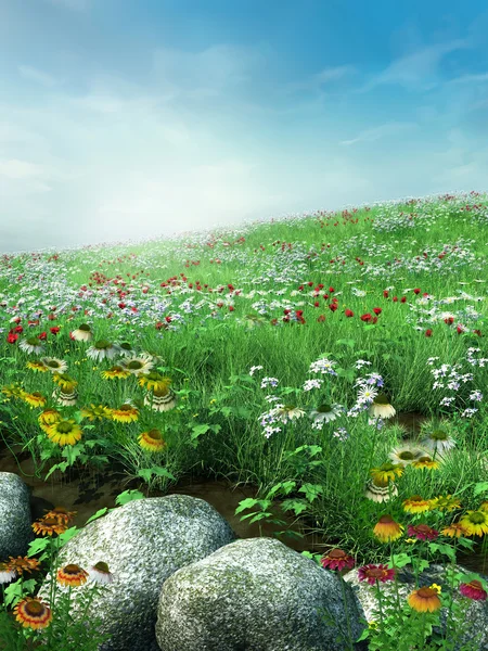 Meadow with rocks — Stock Photo, Image