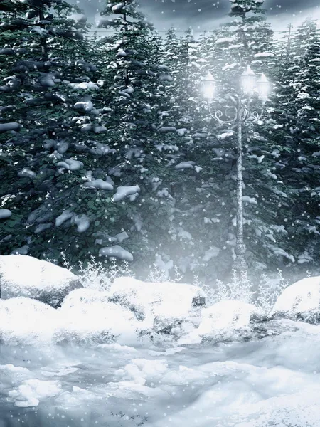 Snowy forest — Stock Photo, Image