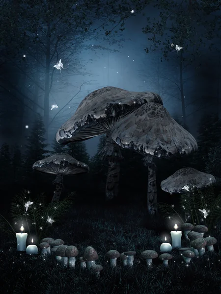 Anel de cogumelos e velas — Fotografia de Stock