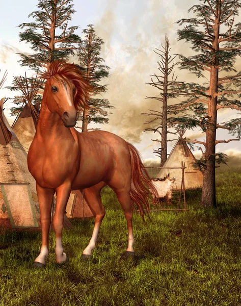 Лошадь в старом лесу — стоковое фото