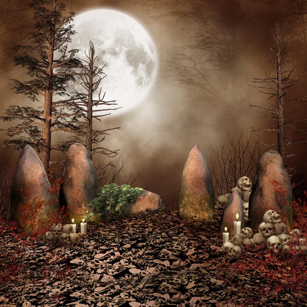 Ring of stones with skulls — Stock Photo, Image