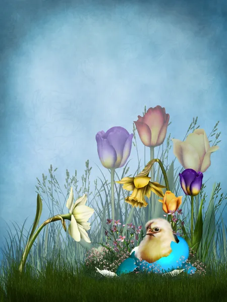 Весенний фон с цыпленком и цветами — стоковое фото