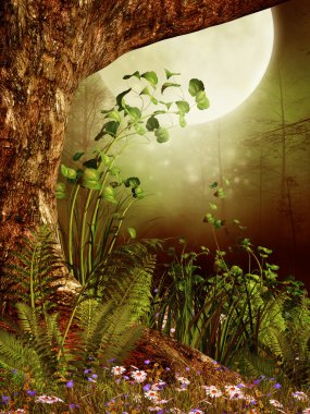 eski ağaç ve eğrelti