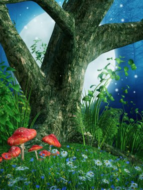 eski ağaç ve mantar