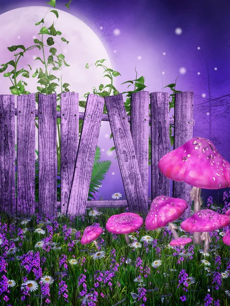 Purple meadow with a fence — Stock Photo, Image