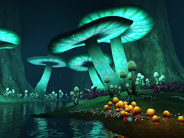 Dark lake with mushrooms