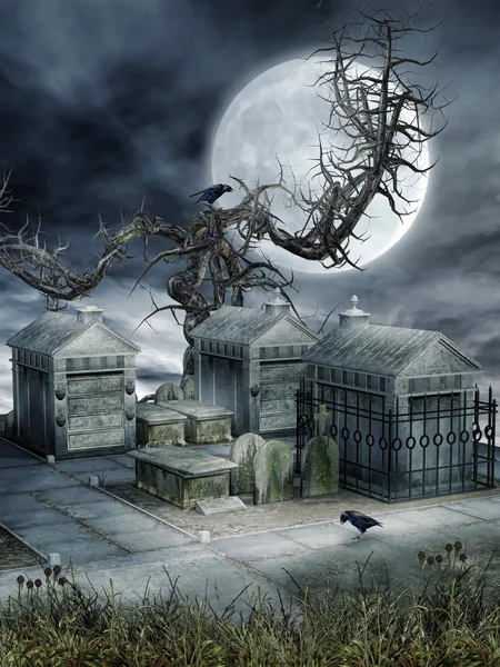 Кладовище зі старовинним деревом — стокове фото