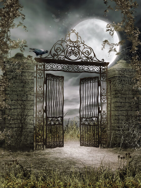 Night scenery with an old iron gate and a raven