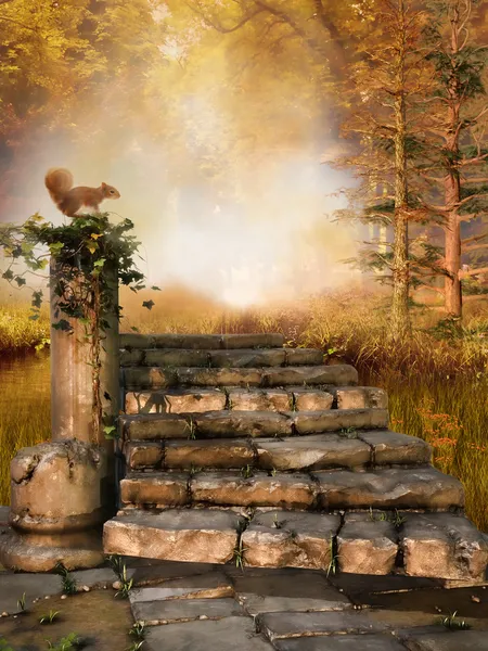 Autumn forest with stone stairs — Stock Photo, Image