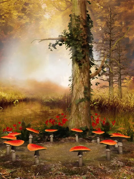 Tree and ring of mushrooms — Stock Photo, Image