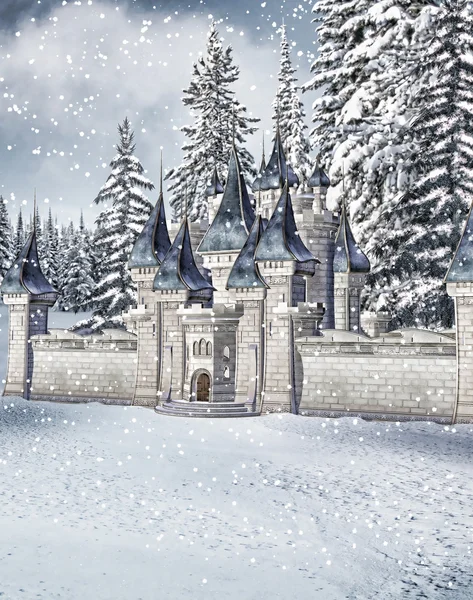 冬の城 — ストック写真
