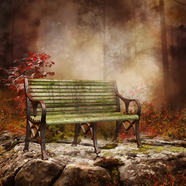 Bench on a rock — Stock Photo, Image