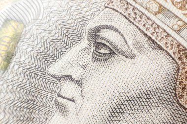 Polonya 'dan gelen banknot yığını. 200 zl. İki yüz cila zloti. Polonya para birimi yakın çekim. Para değişimi.