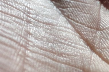İnsan derisi makro. Bir insan elinin içi. Dermatoloji konsepti, sağlıklı cilt dokusu