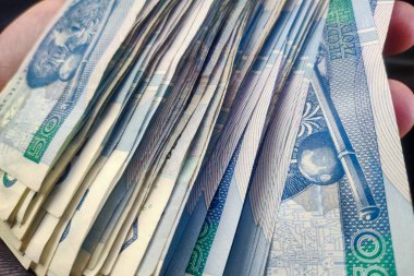 Faiz oranları artıyor. Polonya 'da enflasyon. Ukrayna ve Rusya arasındaki savaştan sonra Doğu Avrupa 'daki mali kriz. Polonya banknotları