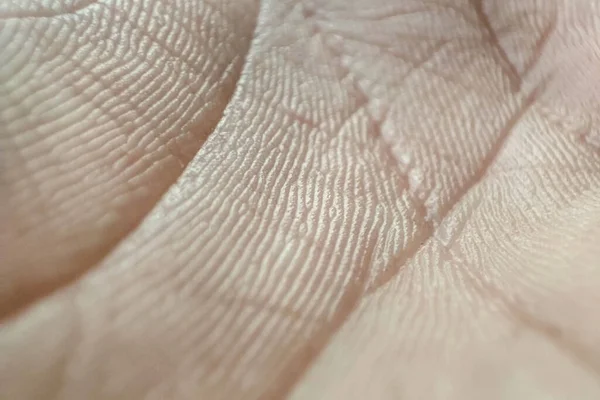 Szoros Emberi Bőr Textúra Makro Kézbőr Minta Orvosi Bőrgyógyászati Fogalom — Stock Fotó