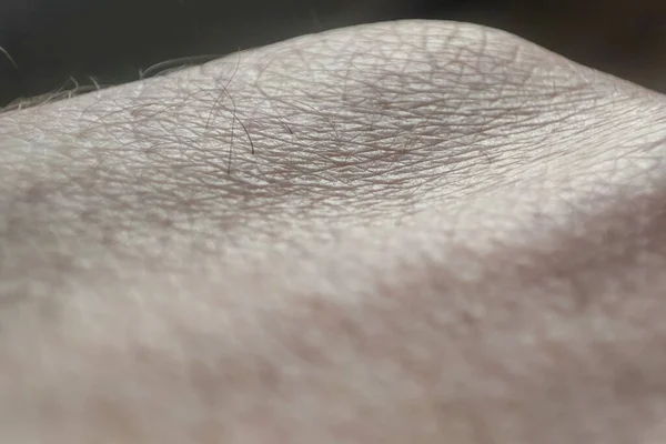 Zbliżenie Tekstury Ludzkiej Skóry Makro Wzór Skóry Dłoni Medycyna Dermatologia — Zdjęcie stockowe