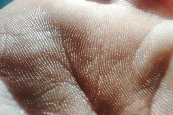 Emberi Bőr Makró Egy Emberi Kéz Belseje Bőrgyógyászati Fogalom Egészséges — Stock Fotó