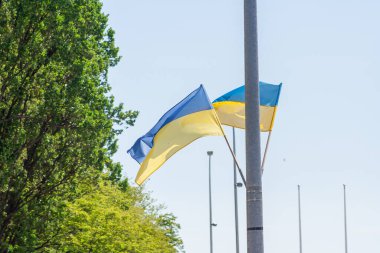 Ukrayna bayrağı büyük ulusal sembol. Ukrayna savaşı konsepti. 2022 savaş başlattı. Rüzgar mavi ve sarı bayrak