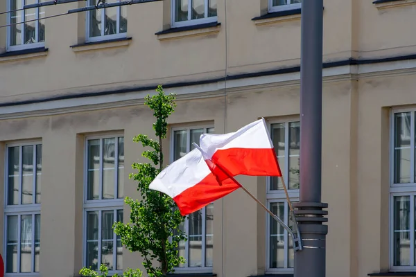 Polish flag in city. Patriotism concept. Flag on wind. Demonstration in Warsaw