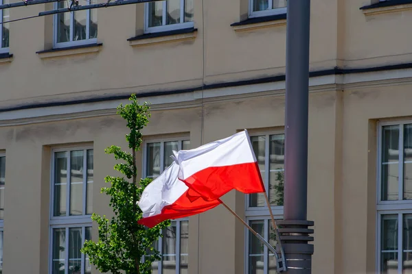 波兰国旗在城市 爱国主义的概念 风中飘扬的旗帜华沙的示威 — 图库照片