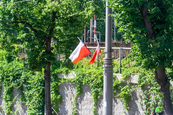 Polish flag in city. Patriotism concept. Flag on wind. Demonstration in Warsaw
