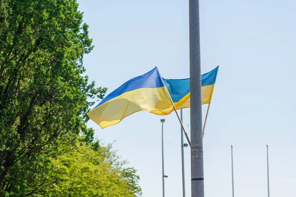 Ukrayna Bayrağı Büyük Ulusal Sembol Ukrayna Savaşı Konsepti 2022 Savaş — Stok fotoğraf