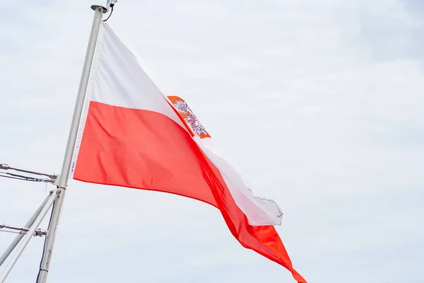 Polish flag in city. Patriotism concept. Flag on wind. Demonstration in Warsaw concept