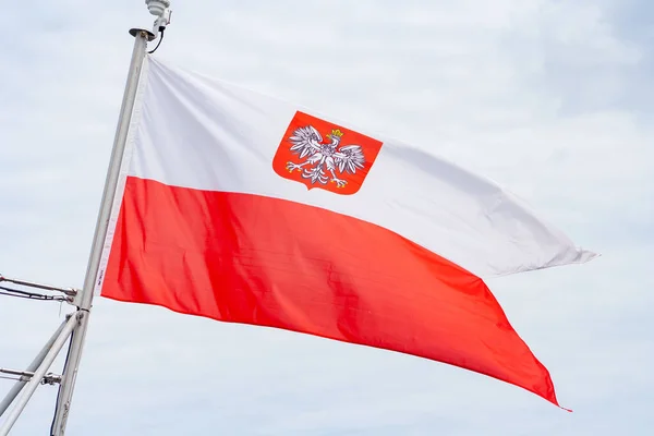 Polish flag in city. Patriotism concept. Flag on wind. Demonstration in Warsaw concept