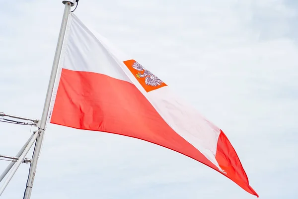 Polish flag in city. Patriotism concept. Flag on wind. Demonstration in Warsaw concept