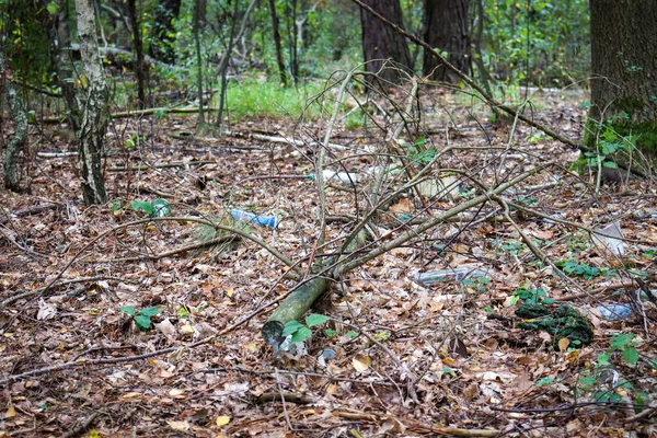 Problem Śmieciami Lesie Plastikowe Śmieci Lesie Ukryta Natura Światowy Problem — Zdjęcie stockowe