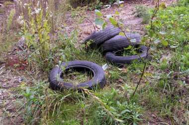 Varşova Polonya; 2 Ekim 2022: Doğada kalan eski lastikler
