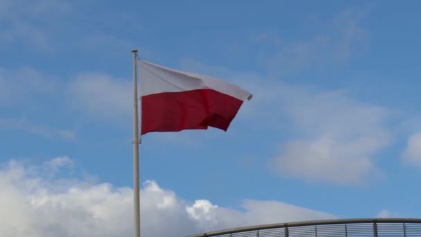 Bandeira Polônia Acenando Bandeira Polónia Acenando Vento Mastro Bandeira — Vídeo de Stock